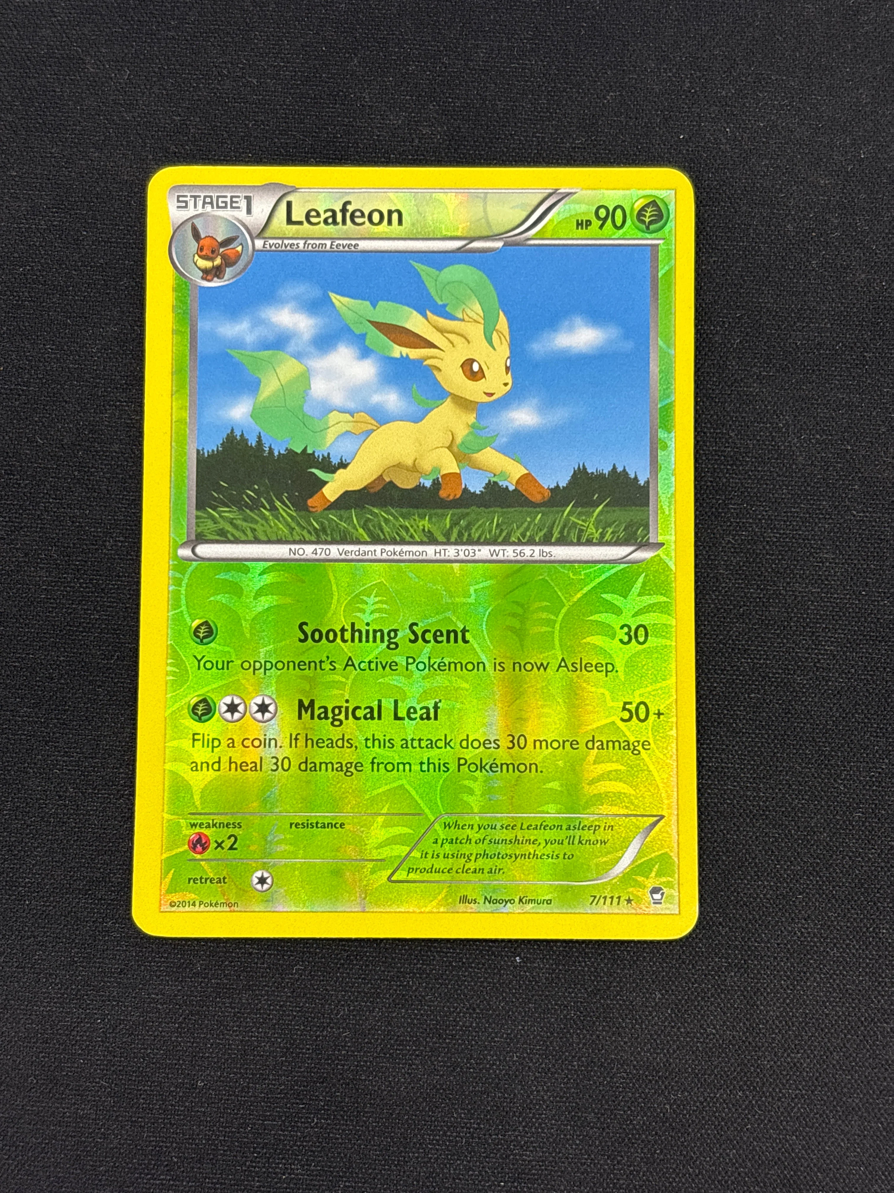 Product image 32