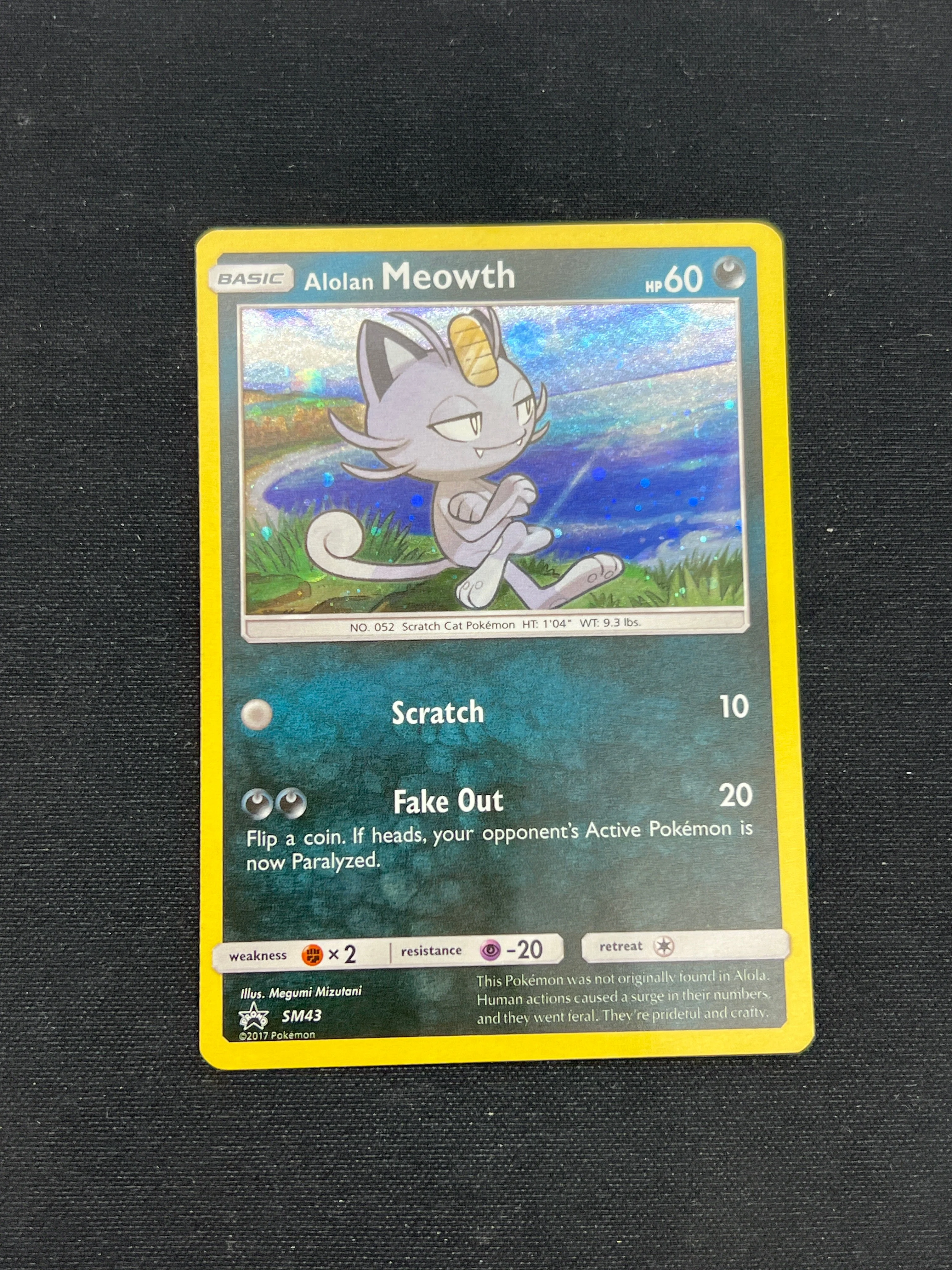 Product image 47