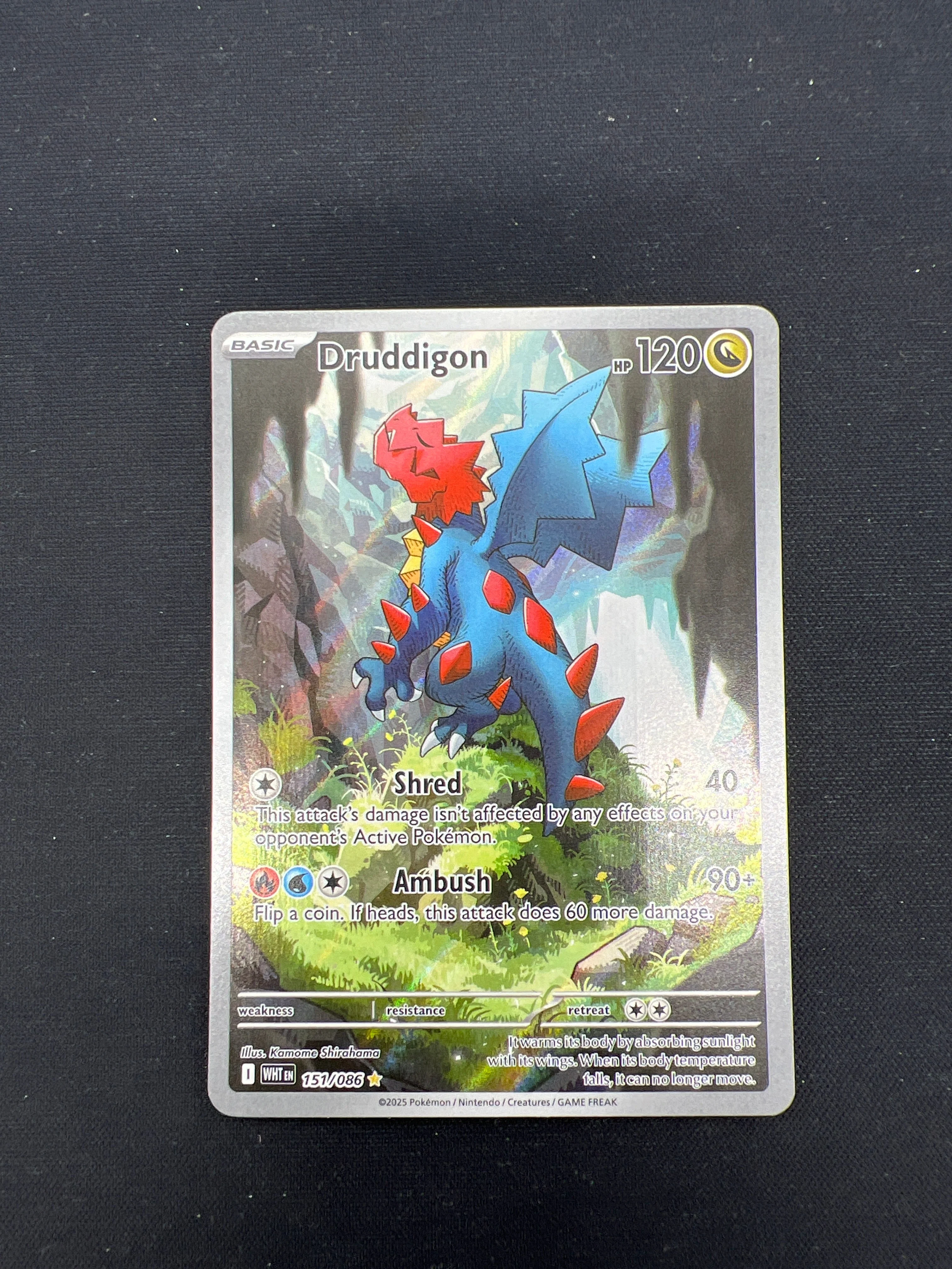 Product image 49
